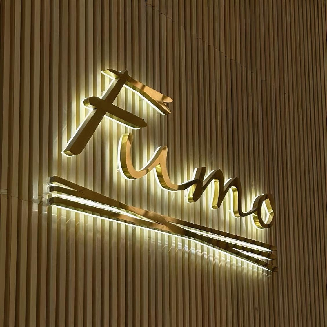 Custom Sign, Backlit Business Sign, Illuminated Logo Sign, Personalized 3D Signboard, Office Sign, LED Sign, Channel Letters, Salon Sign